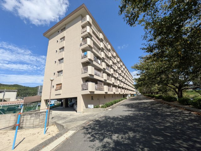 外観：334000207549