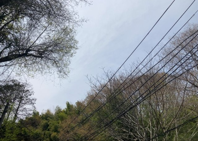 田園風景が味わえる土地に住みたい！海や山の見える自然豊かな土地に住みたい！などご要望に併せて当社営業がご提案させて頂きます。当社が抱えている数ある物件の中からお客様が納得する1件を一緒に探しましょう！