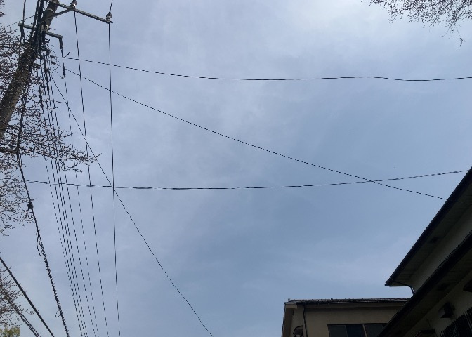 桜や紅葉の名所に出かける人は多いと思いますが、家にいながら季節の移ろいを感じる生活を送りませんか？リビングや窓から見える景色が生活を彩るワンポイントに！現地から見える景色を堪能してみては如何でしょう。
