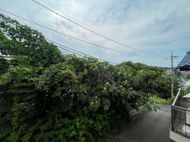 開放感のある眺望です