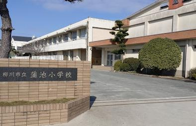 蒲池小学校エリア