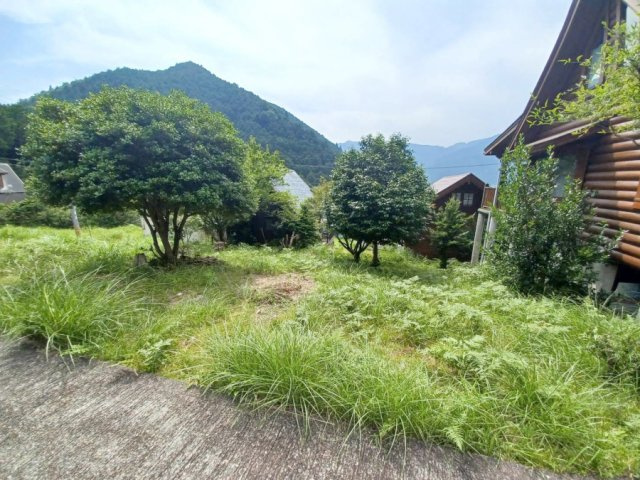 東側から