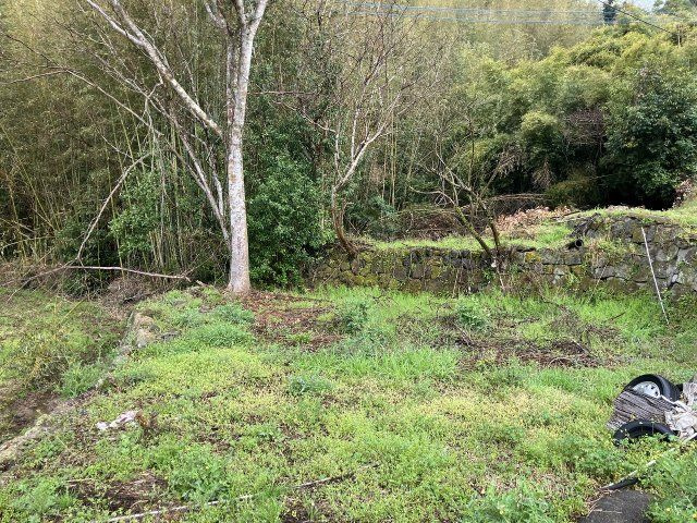 外観：346000037351