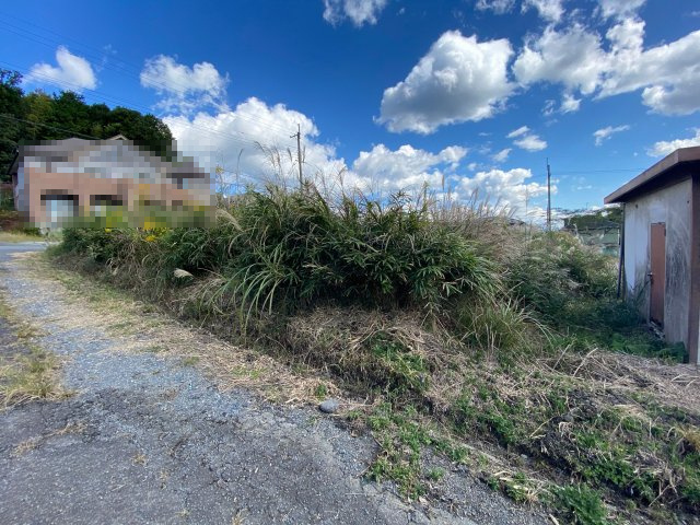 外観：325000119692