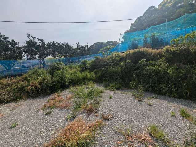 閑静な住宅地に位置しています。周辺には緑も多くあります。