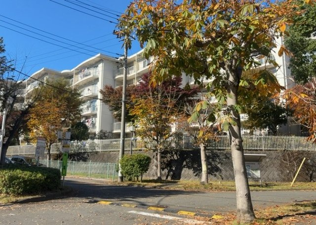 外観：313004502953