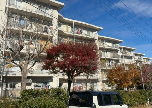 道幅が広い場所は日当たりや風通が良好です。幅が広いのですれ違いも可能ですし大きな車でも駐車可能！一方で、大型車が通ることも多くなるため交通量の増加により騒音に繋がります。また土地の値段が高くなります。