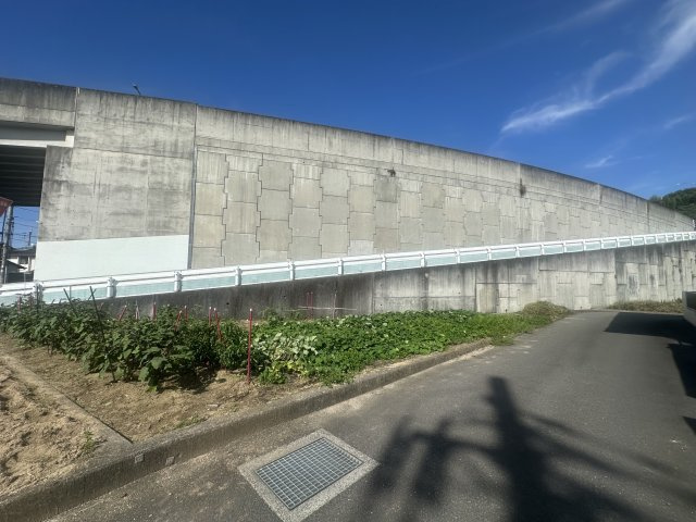 外観：338000056980