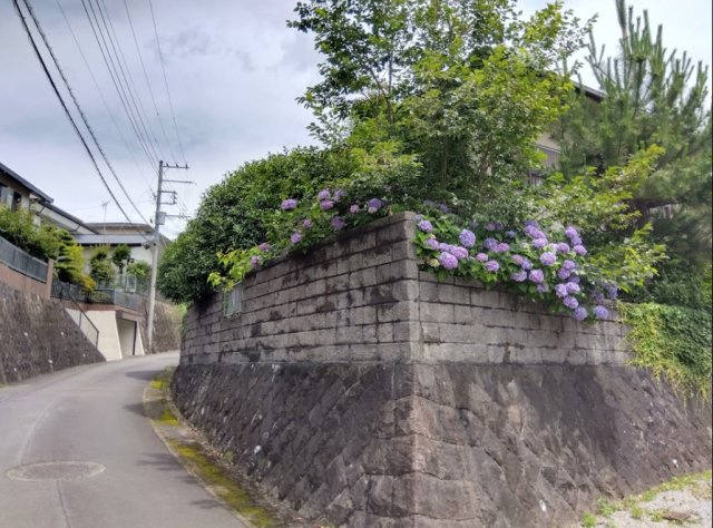 高台の風格ある佇まいです。石積みの強固な擁壁に守られた敷地は道路からの目線も遮り、四季の移ろいを感じながら静かに暮らせます。