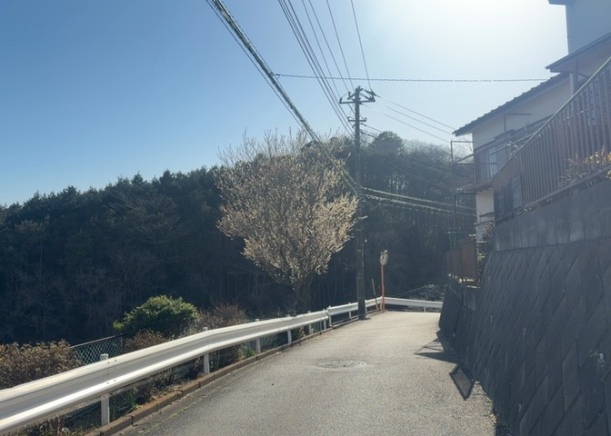 田園風景が味わえる土地に住みたい！海や山の見える自然豊かな土地に住みたい！などご要望に併せて当社営業がご提案させて頂きます。当社が抱えている数ある物件の中からお客様が納得する1件を一緒に探しましょう！