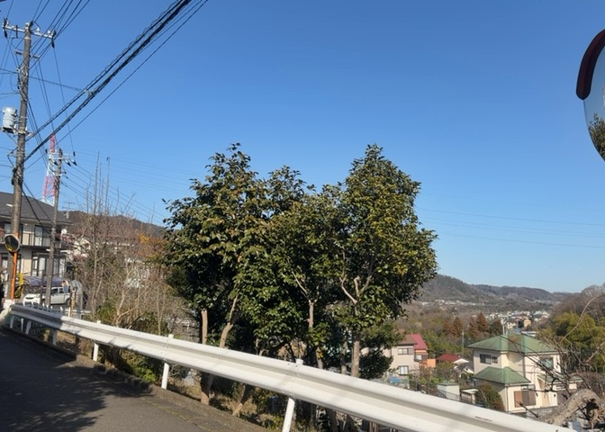 桜や紅葉の名所に出かける人は多いと思いますが、家にいながら季節の移ろいを感じる生活を送りませんか？リビングや窓から見える景色が生活を彩るワンポイントに！現地から見える景色を堪能してみては如何でしょう。