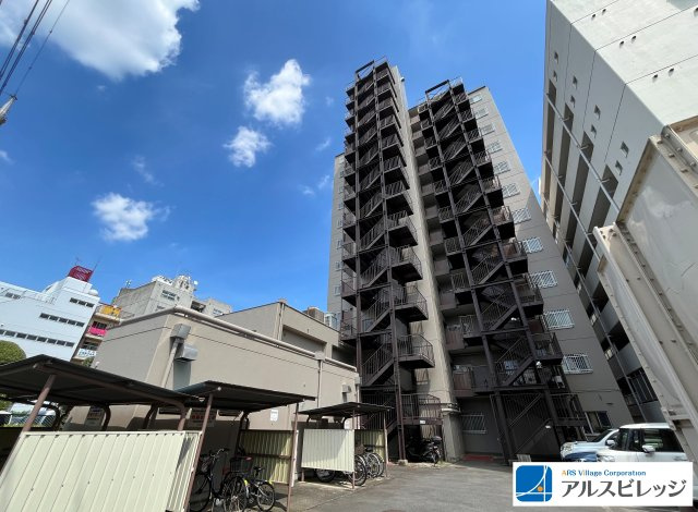 2026年7月撮影