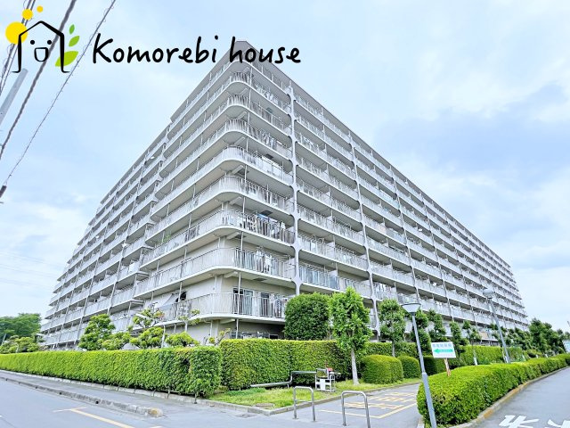 26.5.8撮影済み