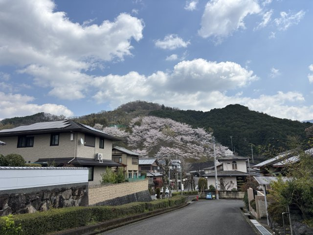 展望