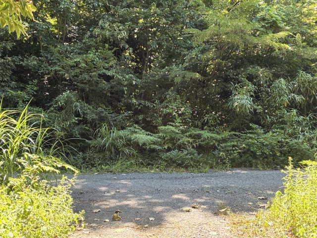 外観：325000117826