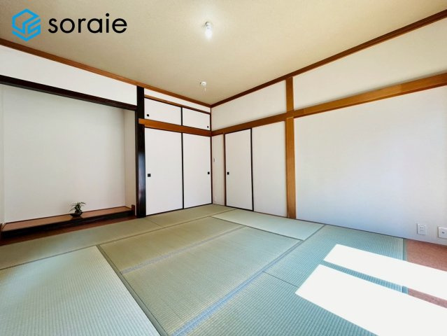 3/24撮影