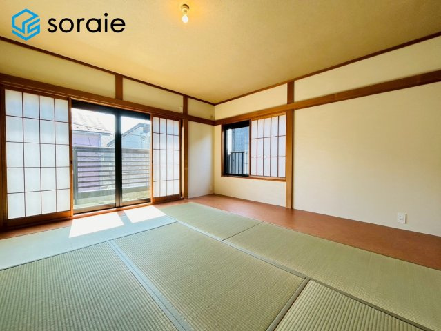 3/24撮影