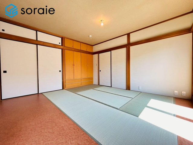 3/24撮影