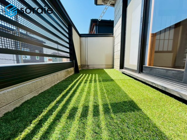 3/24撮影