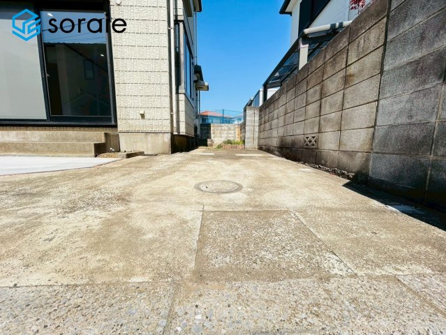 3/24撮影
