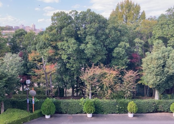 【パークサイド南大沢の展望】