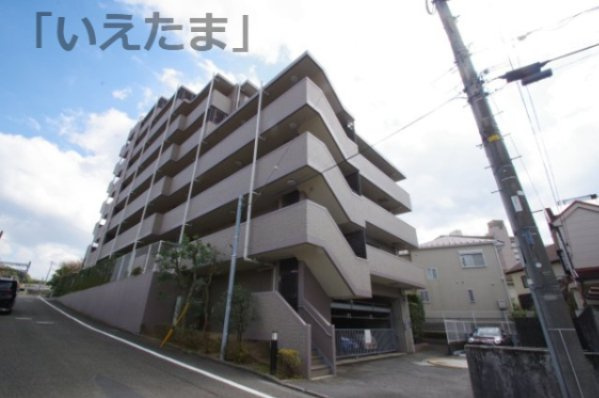 外観：313004673614