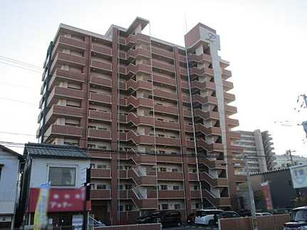 外観：334000211089