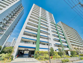 外観：313004669310