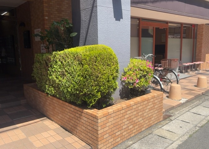 中庭（パティオ）とは、一つの建築物の内部に設けられた、壁などで囲われている庭のことを指します。コの字型、ロの字型が主流ですが、L字型の中庭もあります。最近では、インテリア性の高さからも人気があります。
