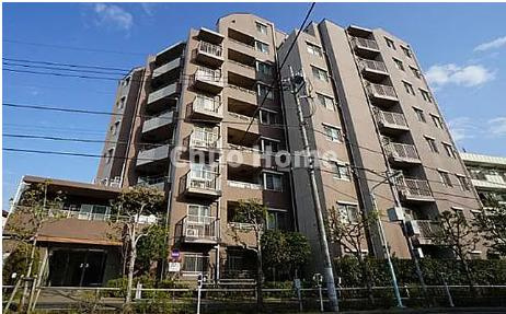 外観：313004695762