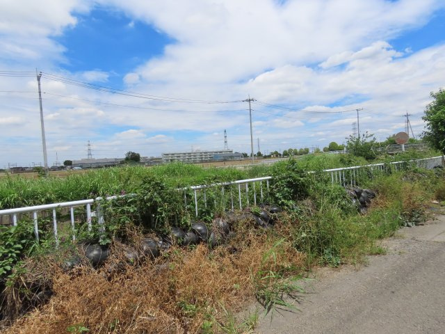 展望