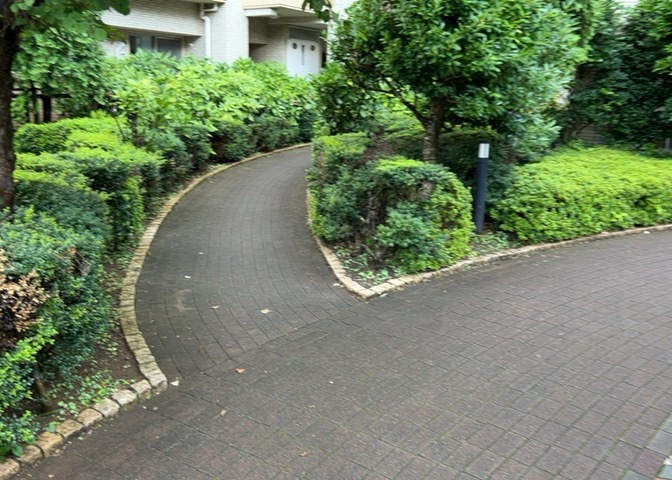 敷地内に広がる緑豊かな住環境を感じられるスペースです。整備された歩道や植栽が美しく維持されており、四季折々の自然を感じながら快適に過ごせます。落ち着いた住宅地ならではの心地よさが魅力です。