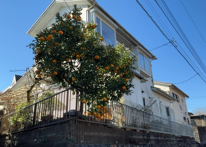 外観：314002588604