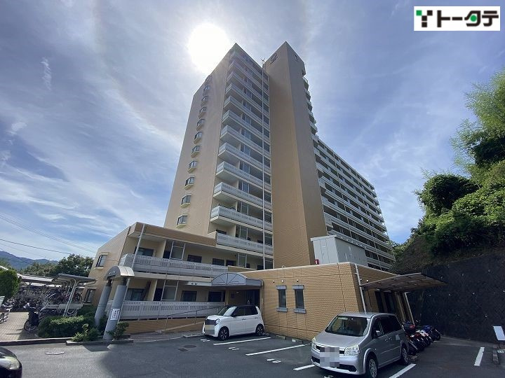 外観：334000223724