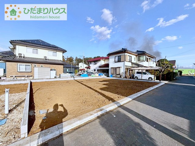 （3/15撮影）