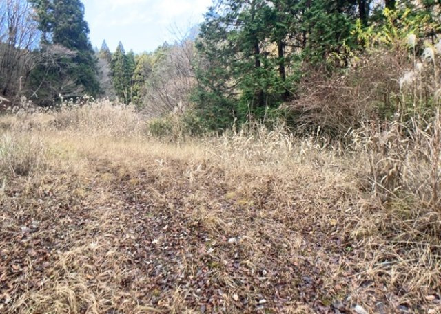 物件の詳細については、現地を見てわかること以外に、役所や法務局などで調べないとわからないことがあります。そのため、現地に行く場合は、もしこの物件を買ったらどのような生活ができるかをイメージしましょう。