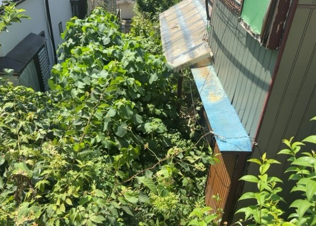 庭のある家に住むことのメリットとして、子どもたちの遊び場を確保できること、ガーデニングや家庭菜園を楽しめること、明るさを確保できることがあります。また、配置を工夫することでプライバシーが確保できます。