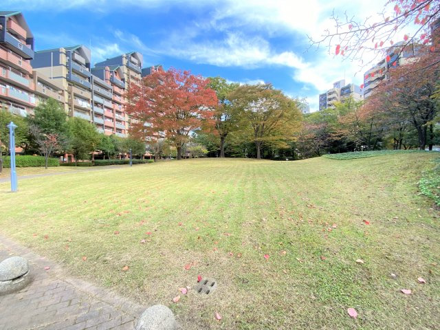 管理棟前芝生広場