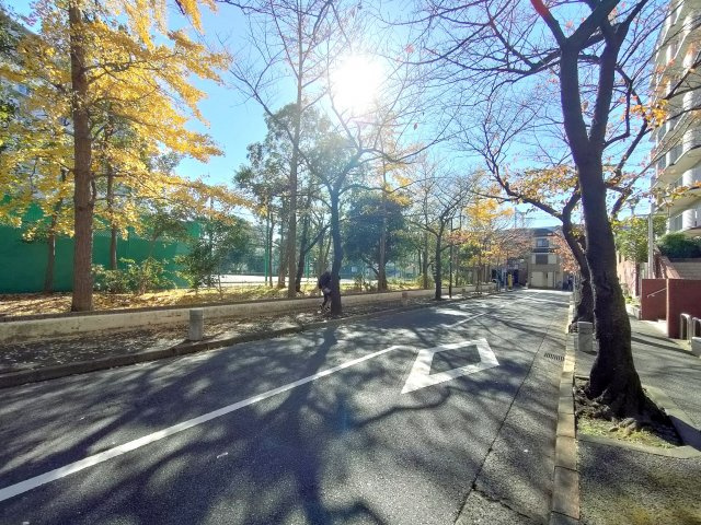 【前面道路】