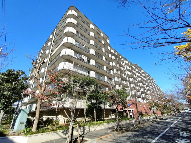 外観：313004698011