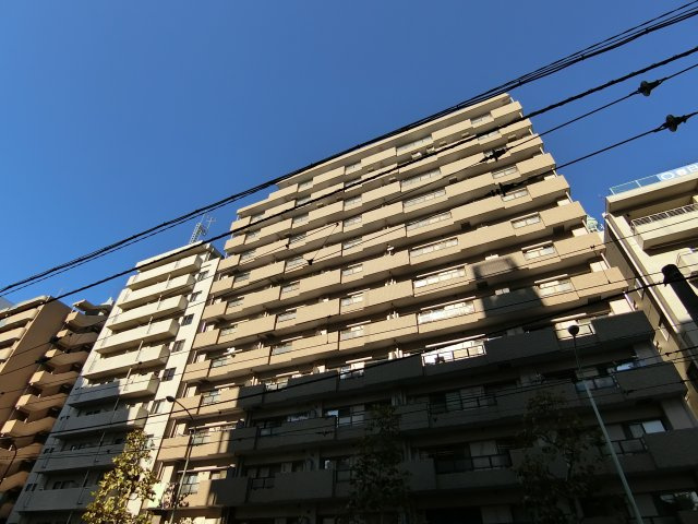 外観：313004671163