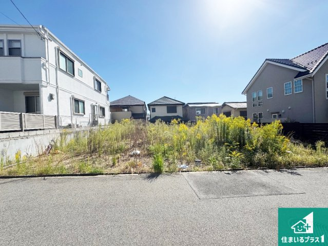 外観：327002139231