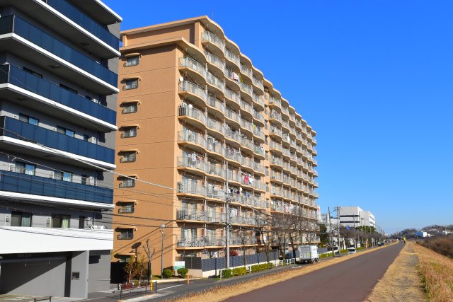 外観：313004635983