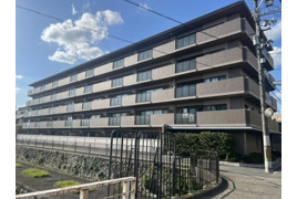 S52217-聖護院ﾊﾟｰｸﾎｰﾑｽﾞの外観