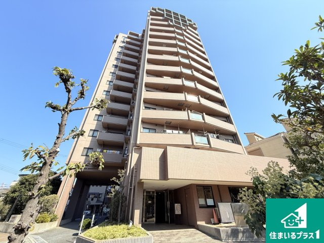 外観：327002170661