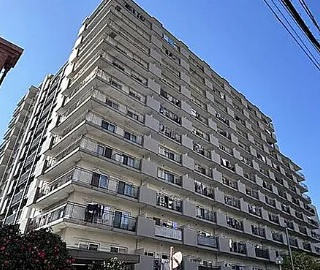 外観：313004728614