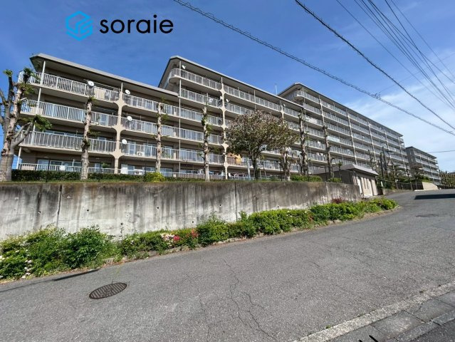 外観：311002369191