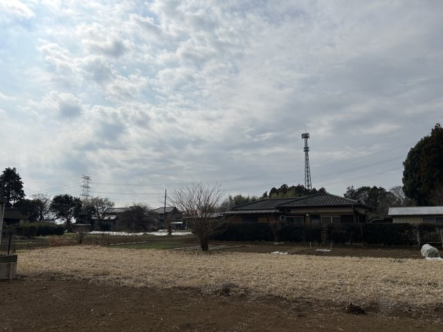 敷地から南側にかけての写真です。