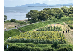 琵琶湖アーバンリゾート1番館の間取り