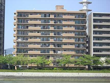 外観：334000240205